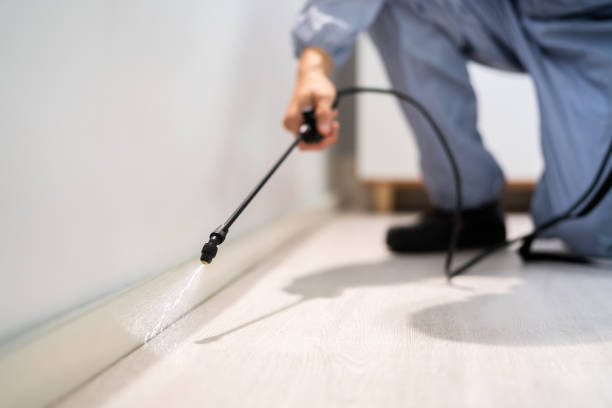 Licensed Pest Control service in Whiting, WI - Show Me Pest Control